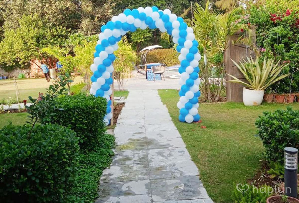 Balloon Gate Stand