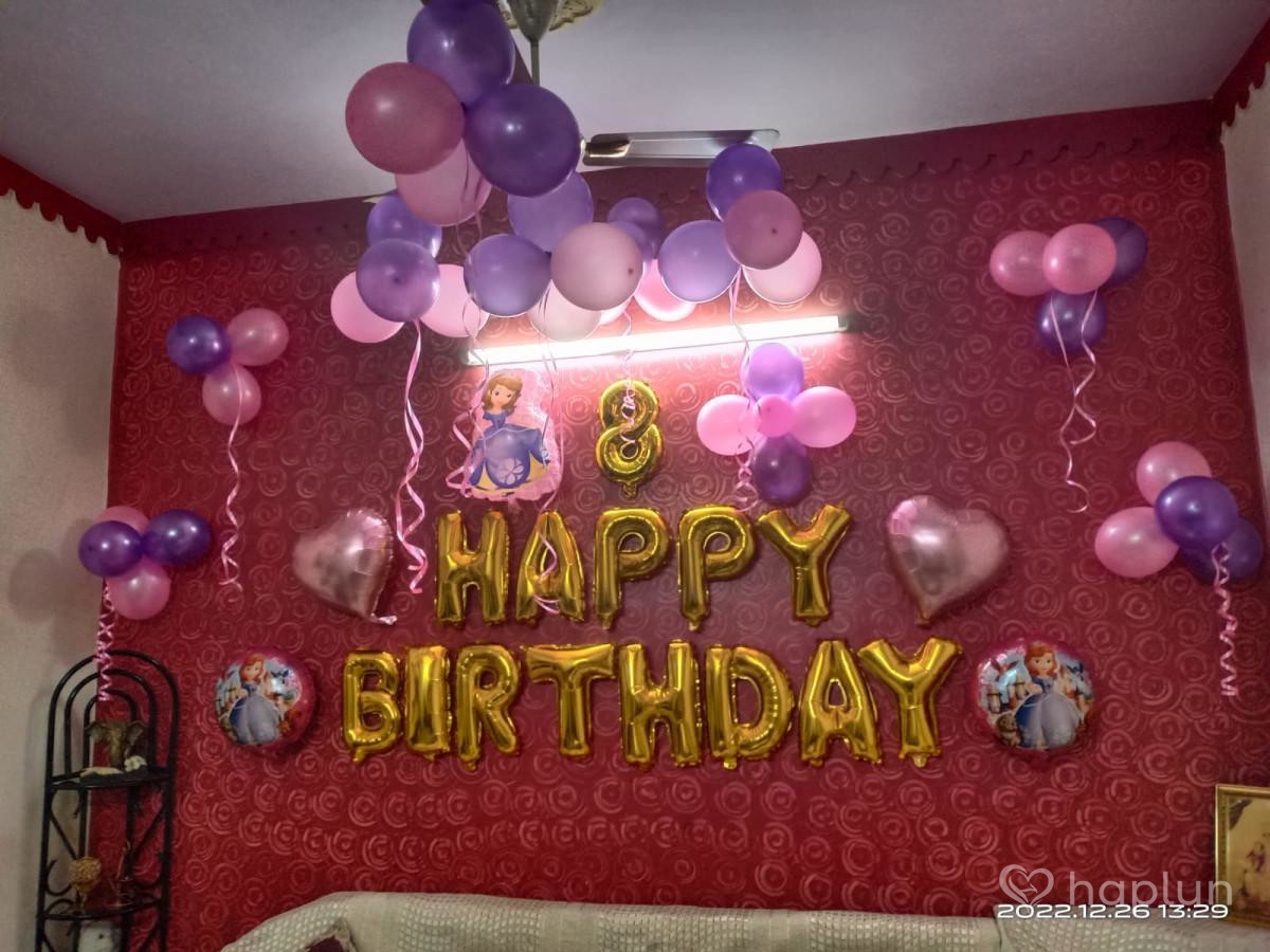 Sofia Princess Theme Decoration