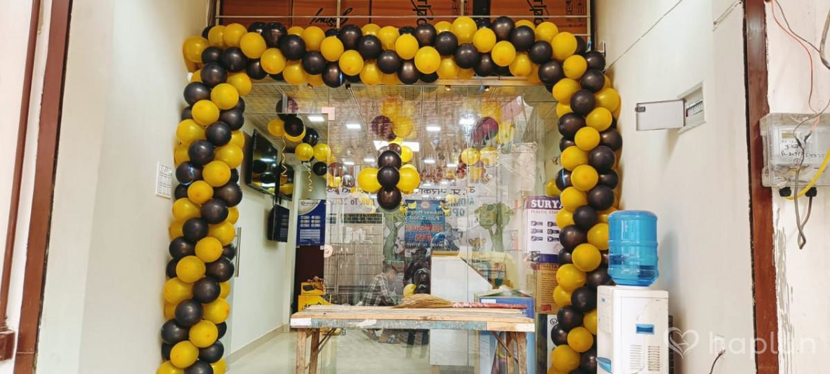 Office/shop Decoration
