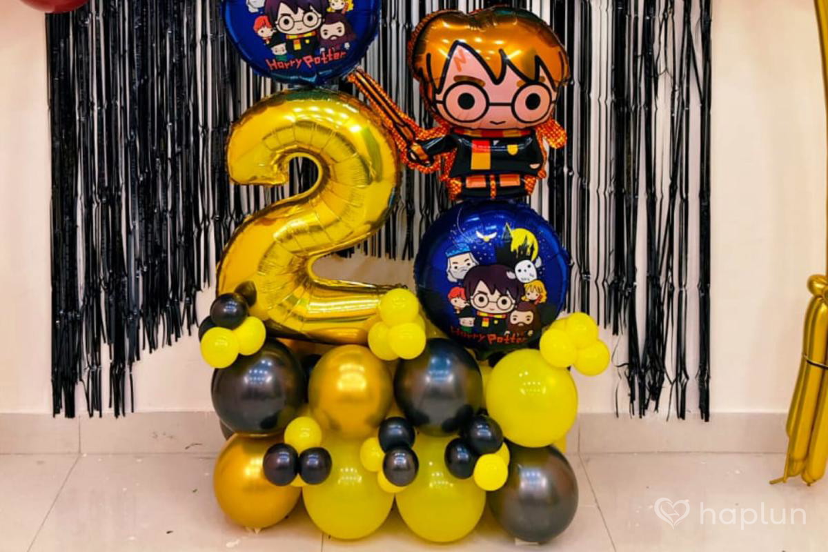 Surprise Harry Potter Theme Decoration