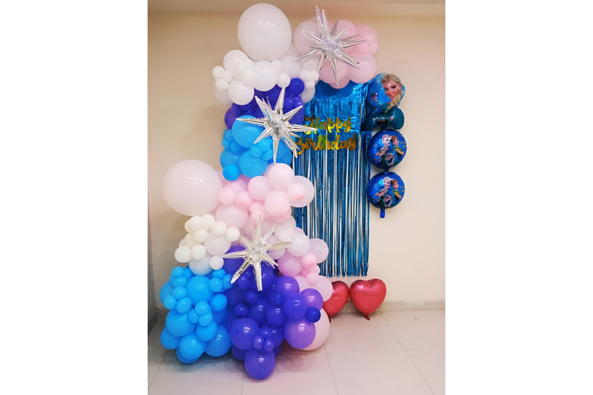 Disney Frozen Theme Decoration