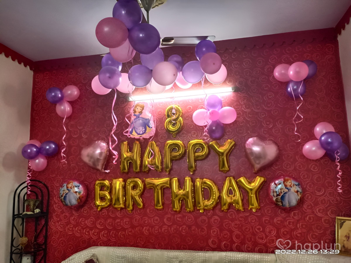 Sofia Princess Theme Decoration
