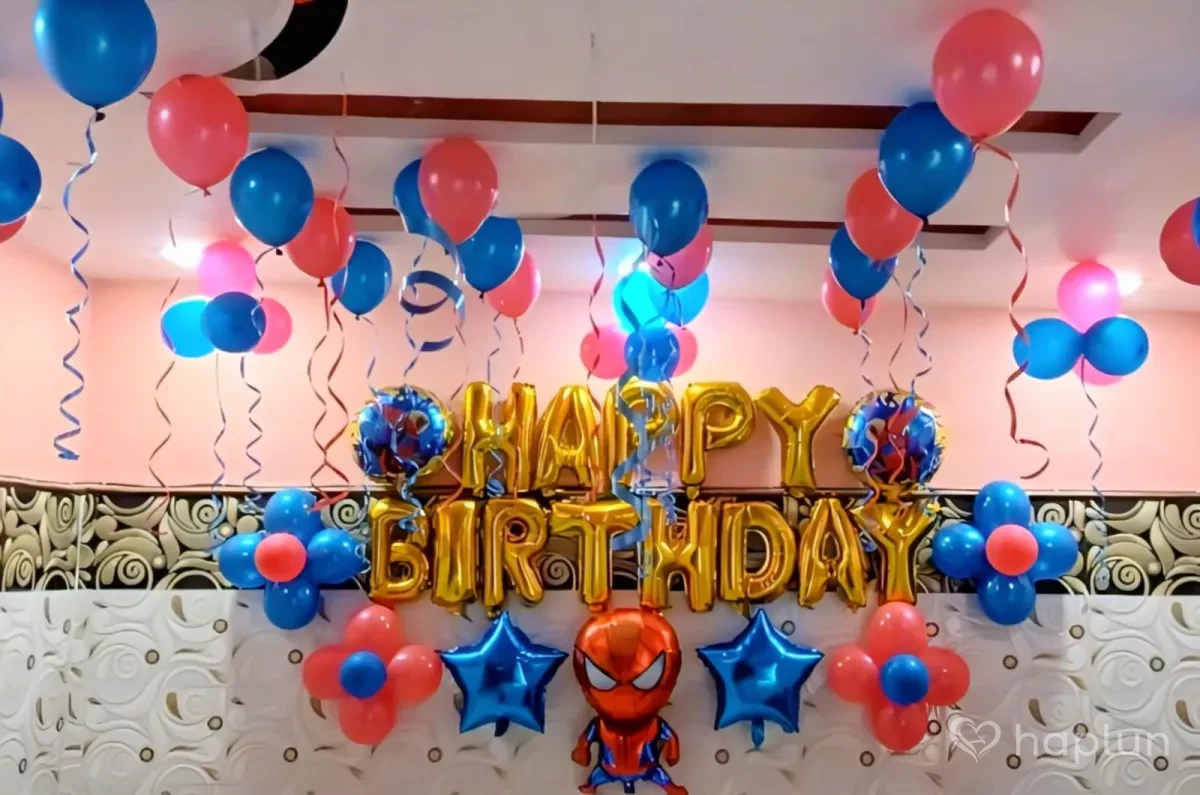 Spiderman Birthday Decoration