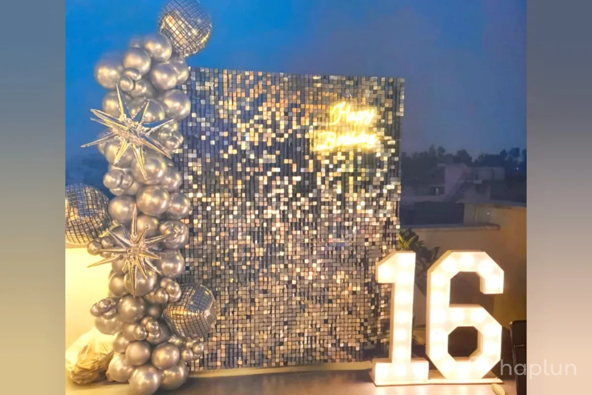 Silver Sequin Party Decoration