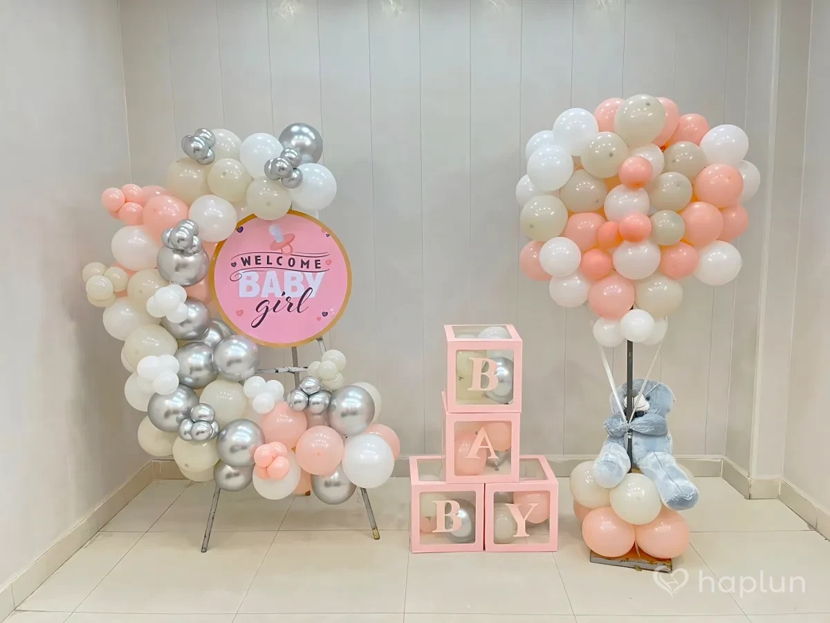 Baby Girl Welcome at Home